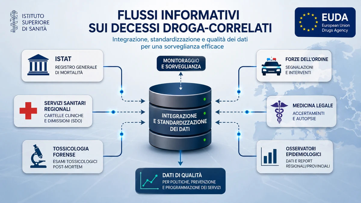Standardizzazione dei flussi informativi sui decessi droga-correlati e registri di mortalità