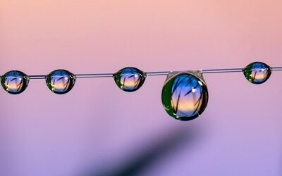 Joint Action Europea: fumo