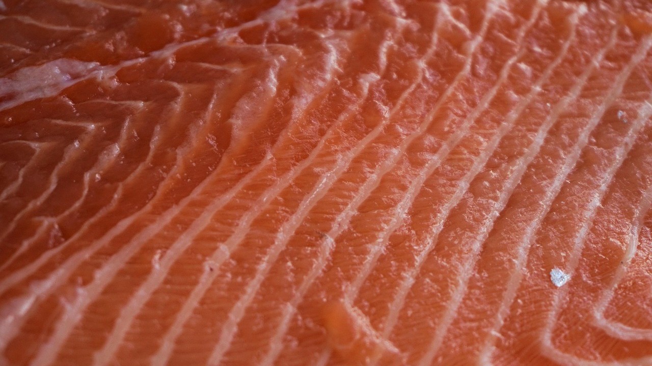 Il salmone allevato è pericoloso?
