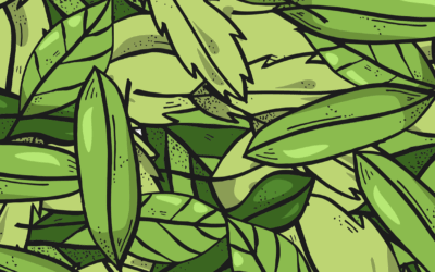 Kratom: allarme diffusione negli USA