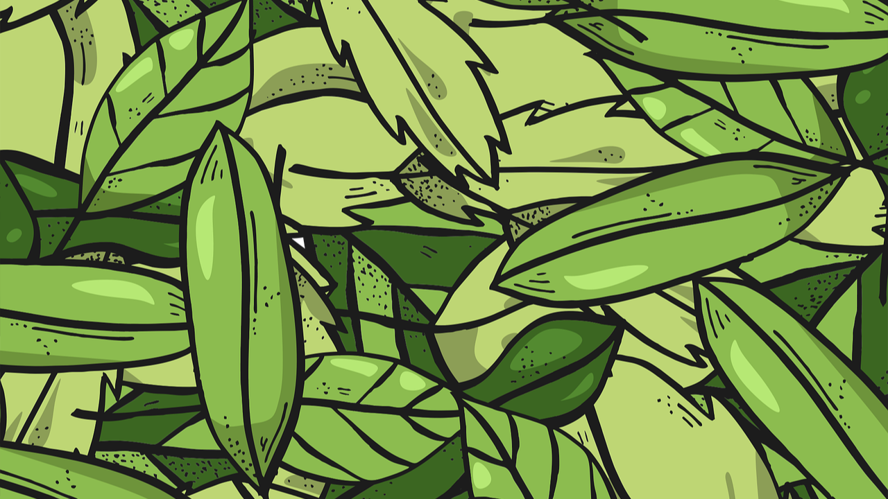 Kratom: allarme diffusione negli USA
