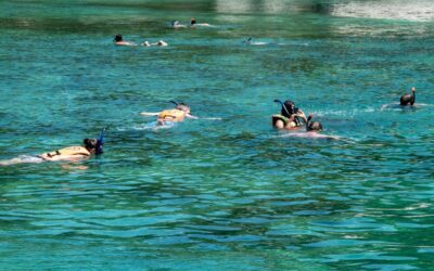 Snorkeling: rischi maschere integrali
